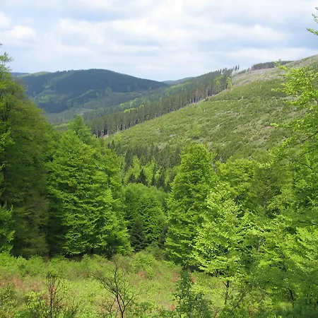 Appartamento Haus Am Medebach