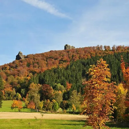 Haus Am Medebach Appartamento *