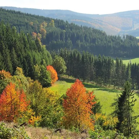 Haus Am Medebach * Olsberg