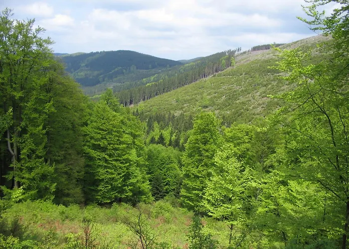 Lejlighed Haus Am Medebach