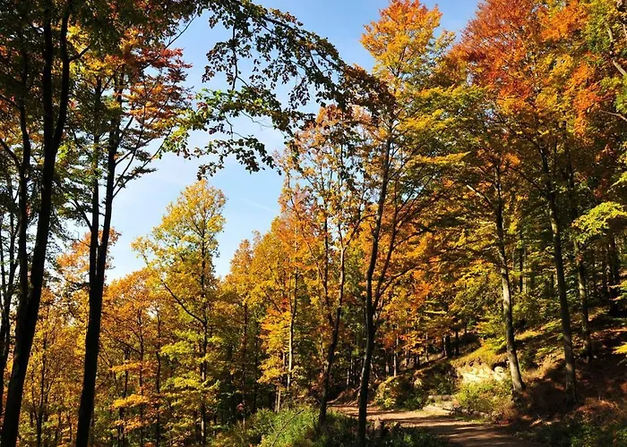 Haus Am Medebach Lejlighed