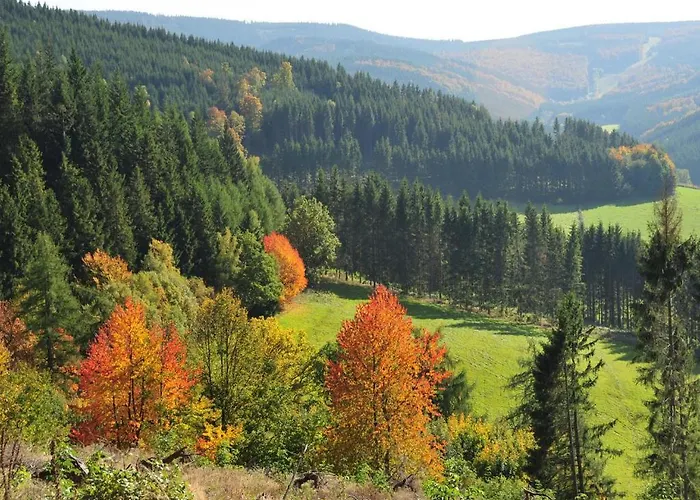 Haus Am Medebach * Olsberg