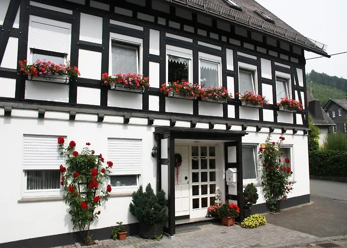 Lägenhet Haus Am Medebach Olsberg